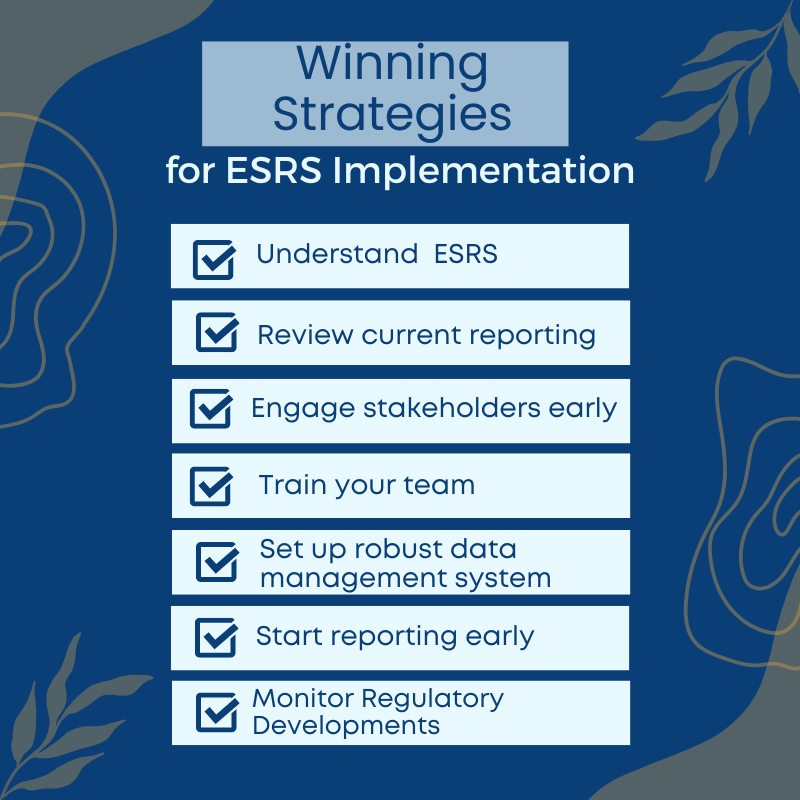 Winning Strategies for ESRS Implementation